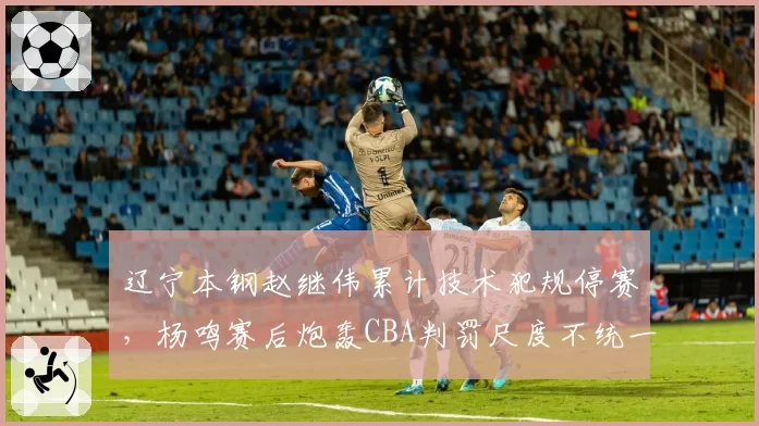 辽宁本钢赵继伟累计技术犯规停赛，杨鸣赛后炮轰CBA判罚尺度不统一
