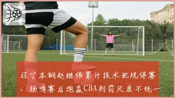辽宁本钢赵继伟累计技术犯规停赛，杨鸣赛后炮轰CBA判罚尺度不统一