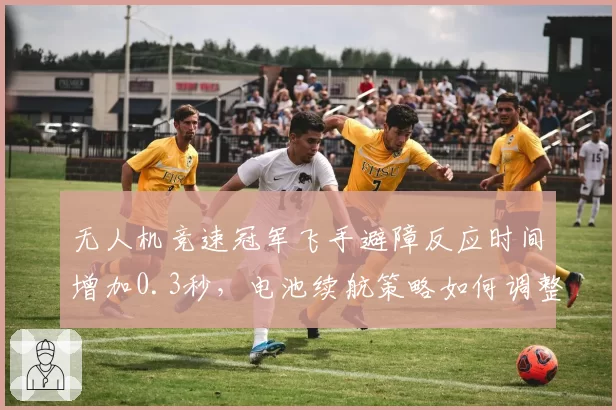 无人机竞速冠军飞手避障反应时间增加0.3秒，电池续航策略如何调整？